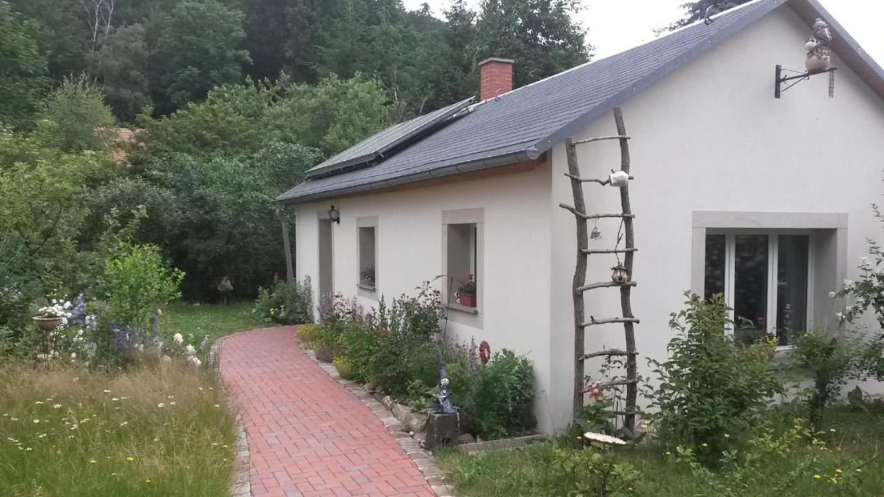 Villa Pochebachhaeusl Kurort Jonsdorf Esterno foto