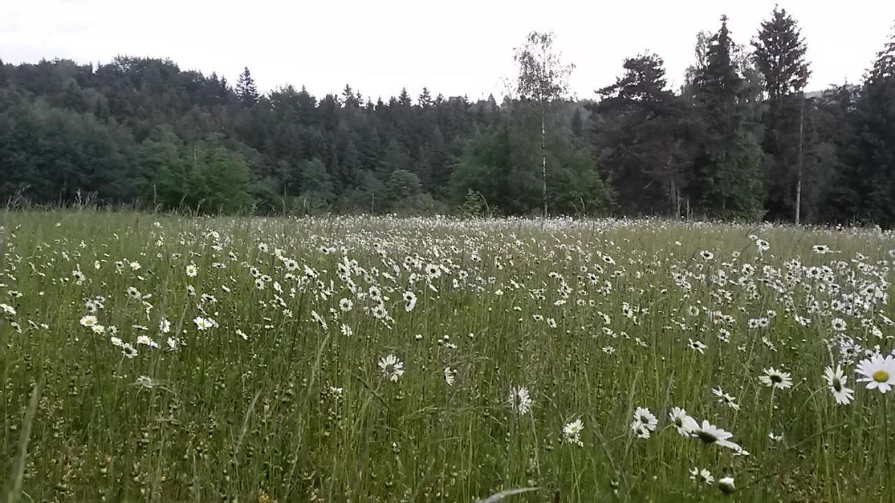 Villa Pochebachhaeusl Kurort Jonsdorf Esterno foto